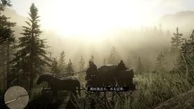 荒野重生,逆境中的生命奇迹